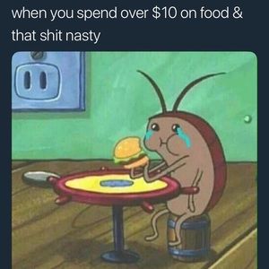 Meet your Posher, Jonah